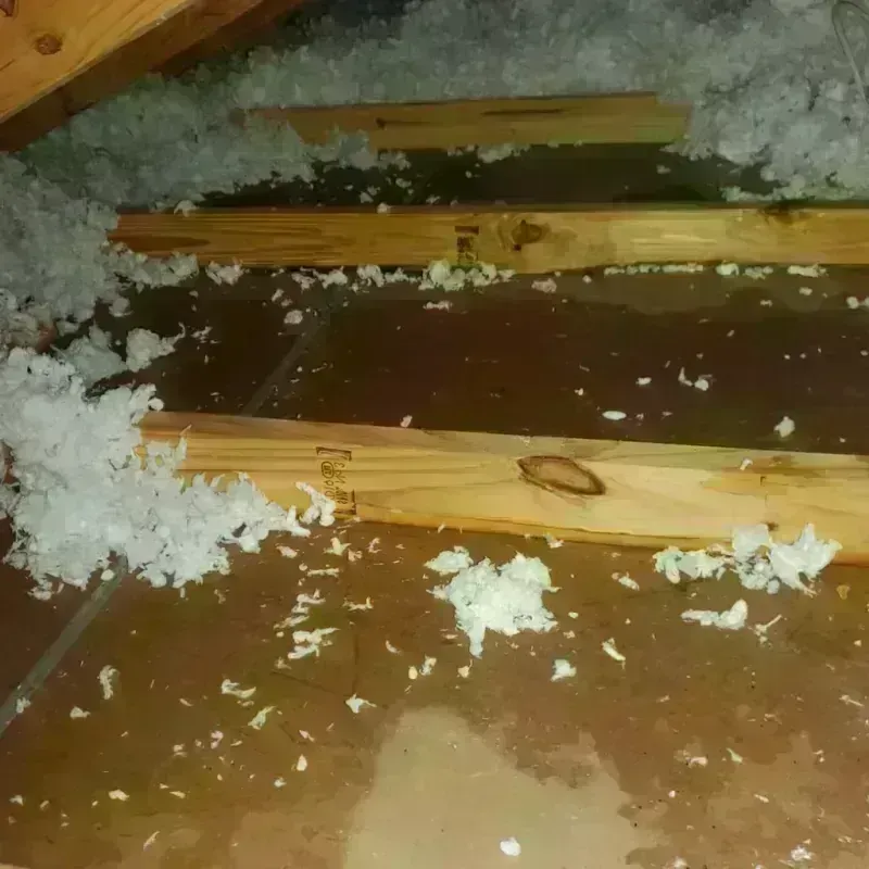 Attic Water Damage in Bixby, OK