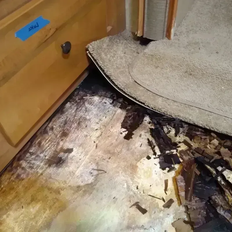 Wood Floor Water Damage in Bixby, OK